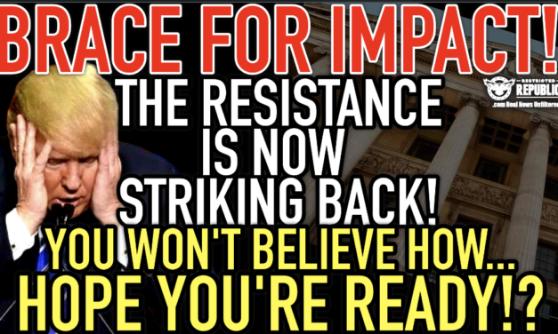 Brace For Impact! The Resistance Is Now Striking Back & You Won’t Believe How! Hope You’re Ready? 